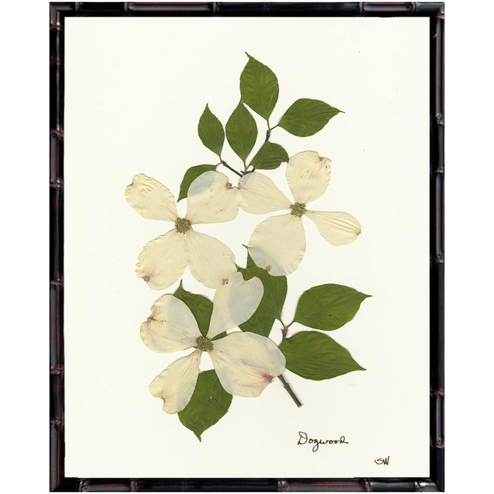 Pressed Dogwood Framed Art