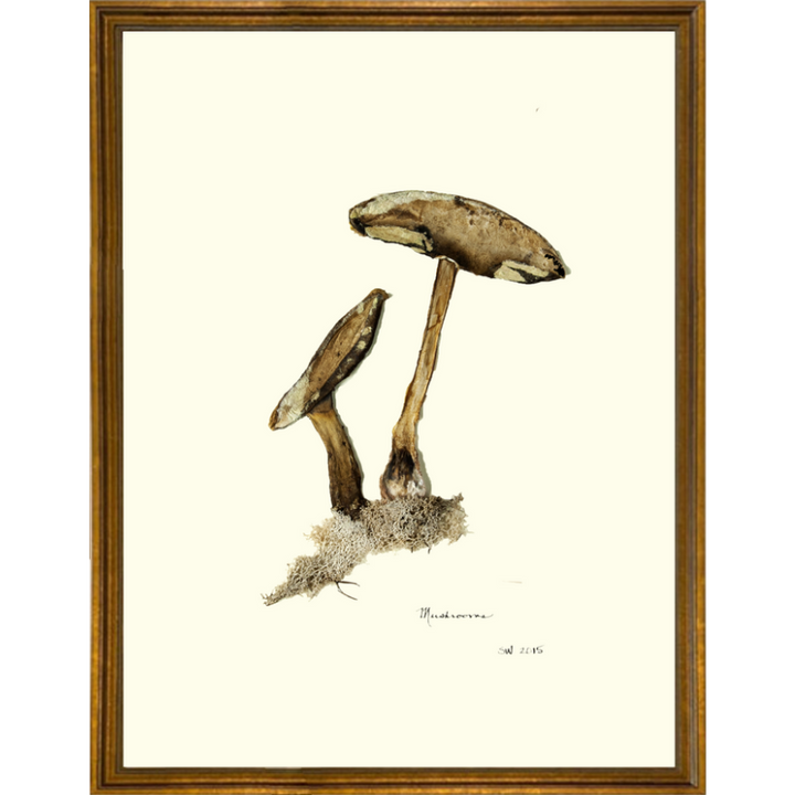 Mushroom Framed Art