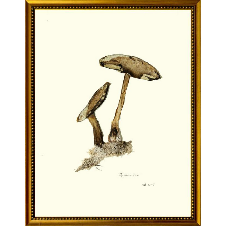 Mushroom Framed Art