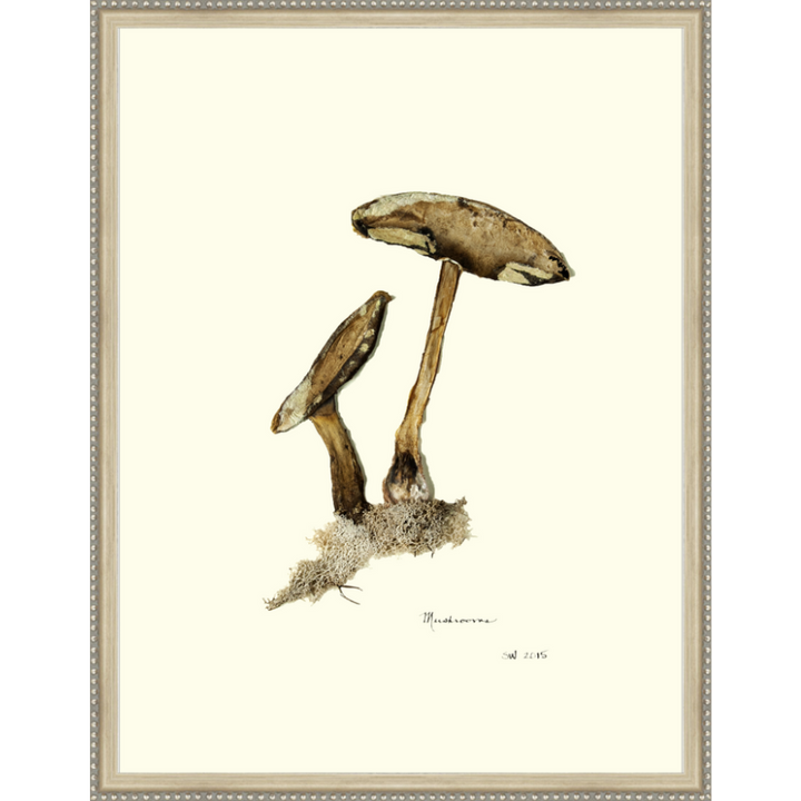 Mushroom Framed Art