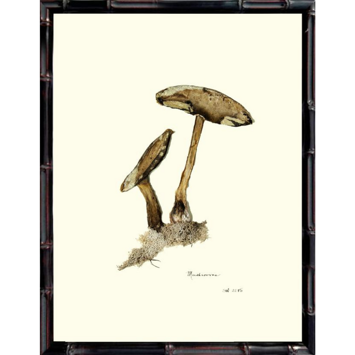 Mushroom Framed Art