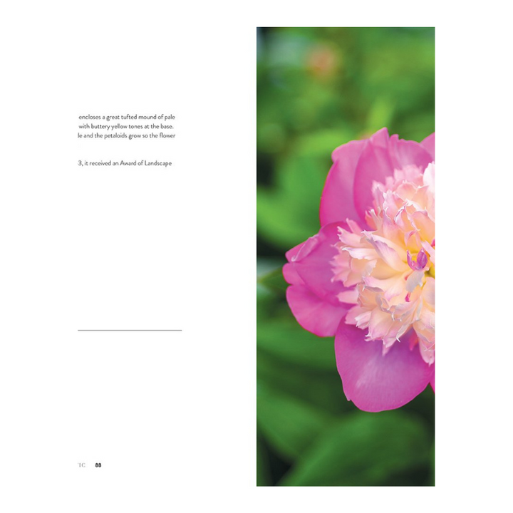 Peonies Book