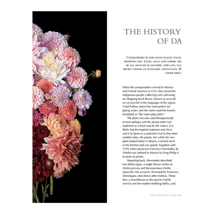 Dahlias Book