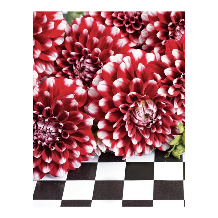 Dahlias Book