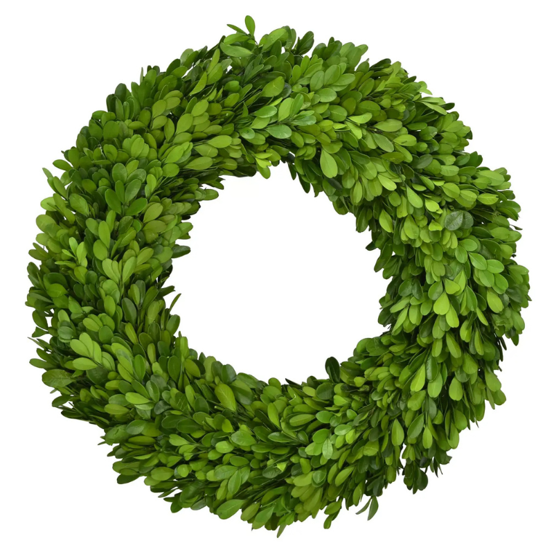 Preserved Boxwood Wreath - Medium