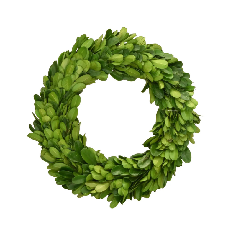 Preserved Boxwood Wreath - Small
