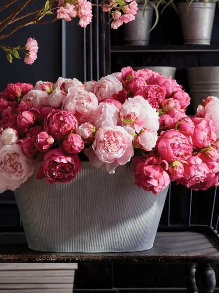 Pink Peonies Bunch