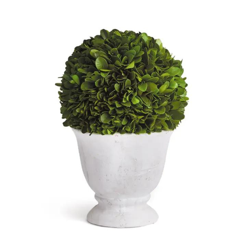 potted boxwood plants Potted Boxwood – Hummingbird Home & Co