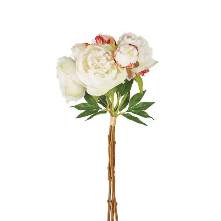Cream Peonies Bunch