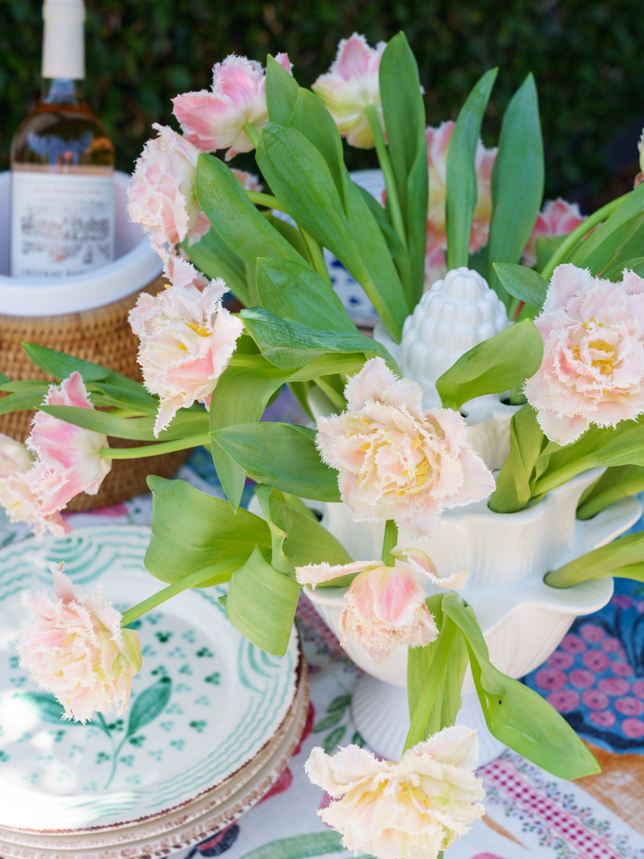 Artichoke Tulipiere - Pink