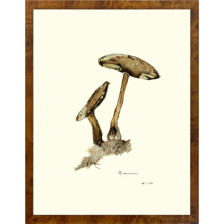 Mushroom Framed Art