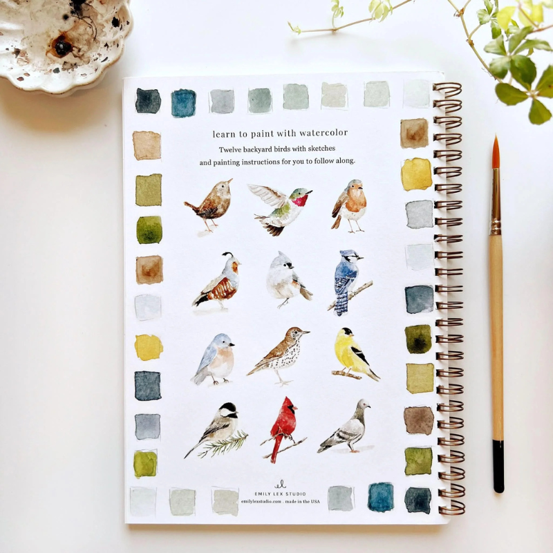 Birds Watercolor Workbook & Grabie All-in-One Premium Watercolor Set of 50