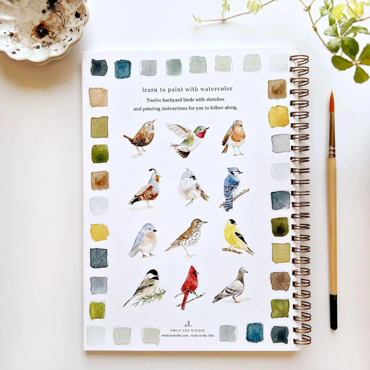 Birds Watercolor Workbook & Grabie All-in-One Premium Watercolor Set of 50