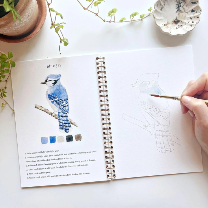 Birds Watercolor Workbook & Grabie All-in-One Premium Watercolor Set of 50