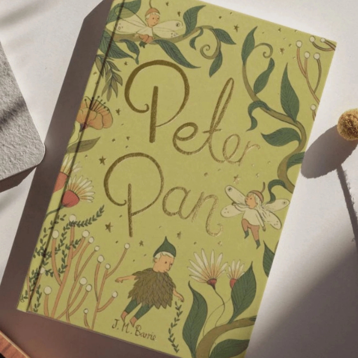 Peter Pan Book